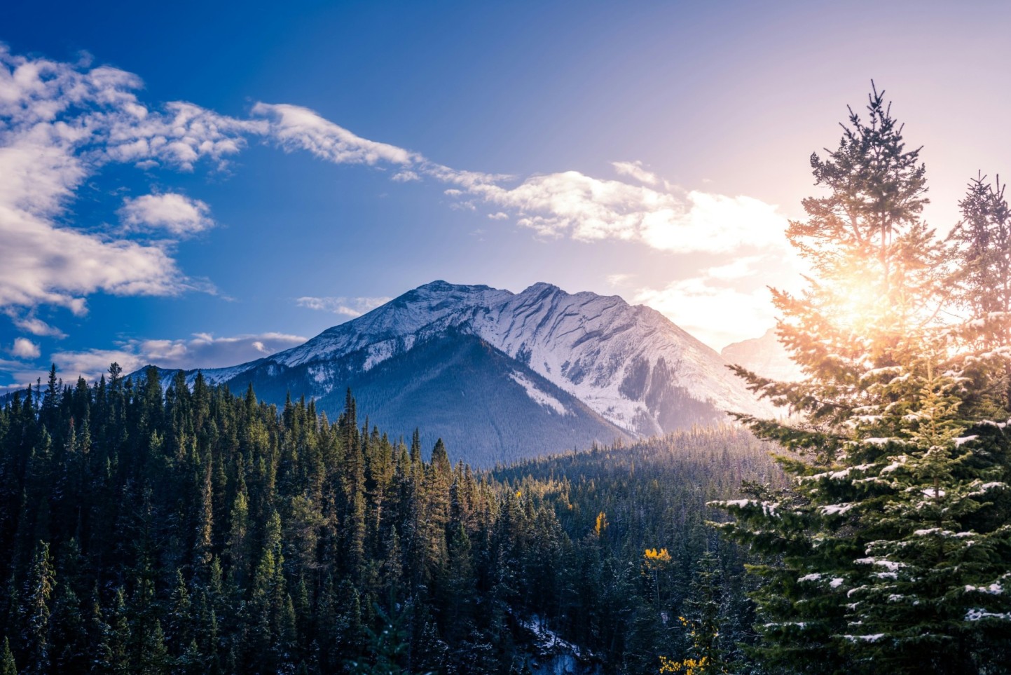 How to Choose the Best Tour Package for Your Canada Vacation